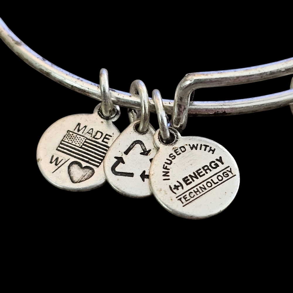 Alex and Ani Crystal Skeleton Key Charm Bangle in Silver-Tone Brass - Picture 3 of 6